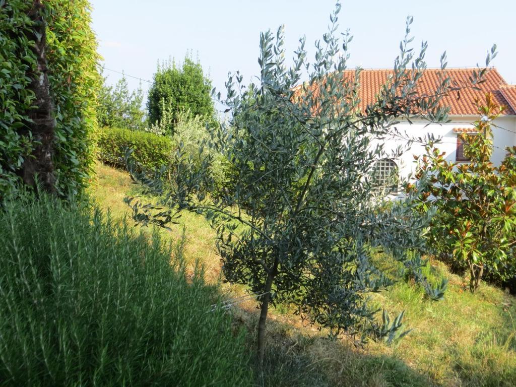 Villa Luppo Ičići Exterior foto